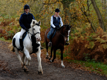 Hacking out this Autumn with Equestrian Escapes
